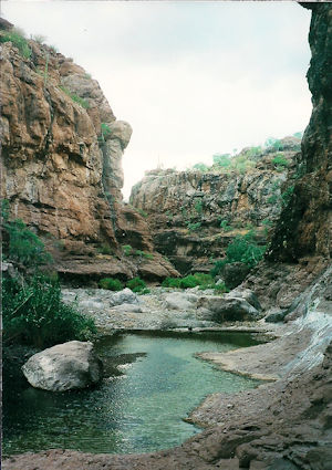 Creek Baja